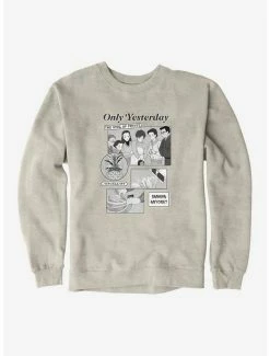 Flash Sale 😉 Studio Ghibli Only Yesterday King Of Fruits Sweatshirt ❤️ 10 Flash Sale 😉 Studio Ghibli Only Yesterday King Of Fruits Sweatshirt ❤️ -Hot Sale Studio Ghibli Store 16623618 hi